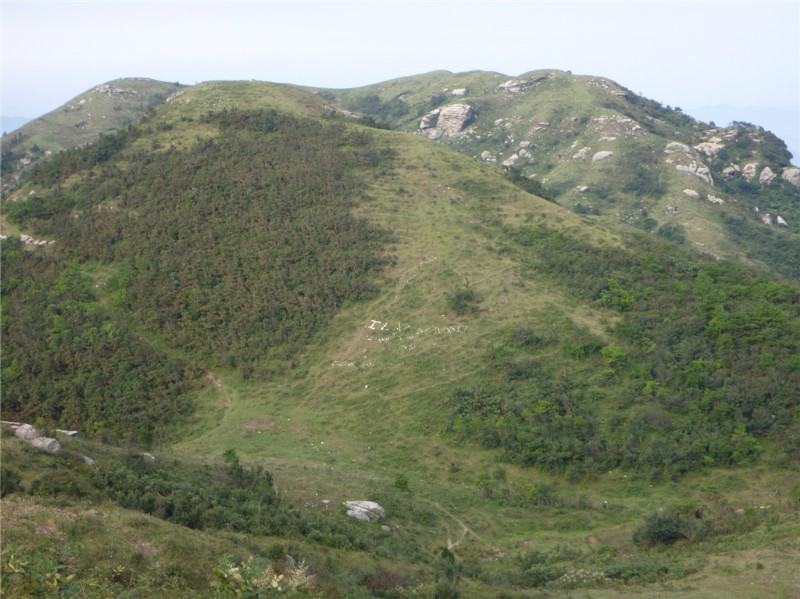 p1020350_.jpg