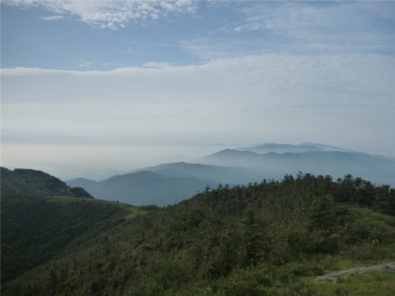 p1020351_.jpg
