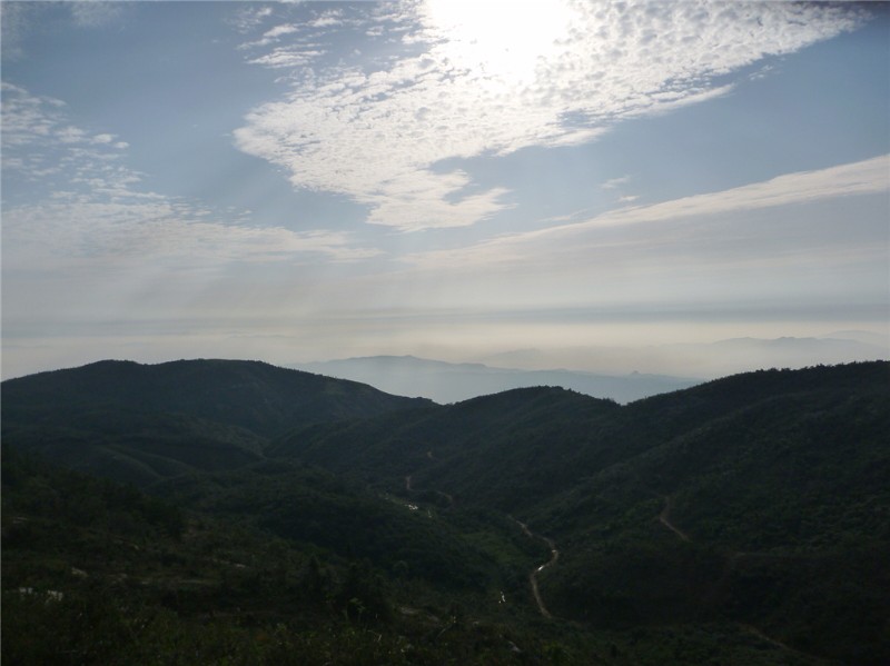 p1020347_.jpg