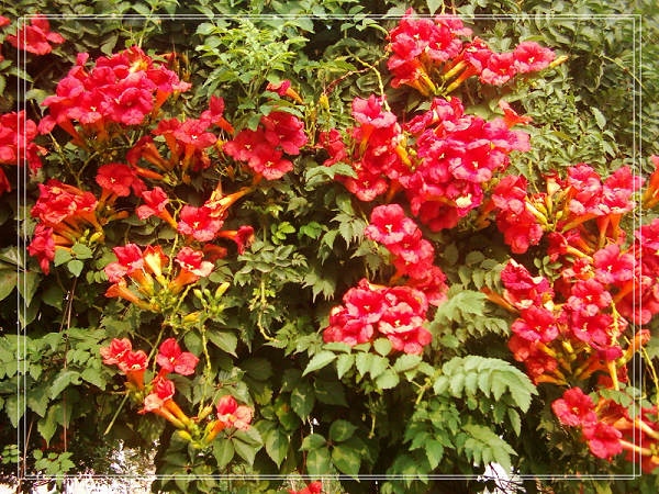 67c9f376x74b36ae38ca0&690.jpg