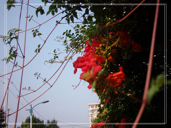 67c9f376x74b36ae692ec&690.jpg