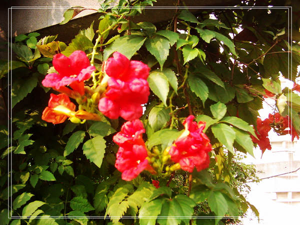 67c9f376x74b36afa6164&690.jpg
