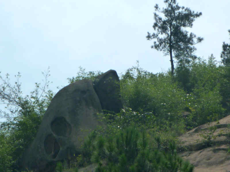 p1020298.jpg
