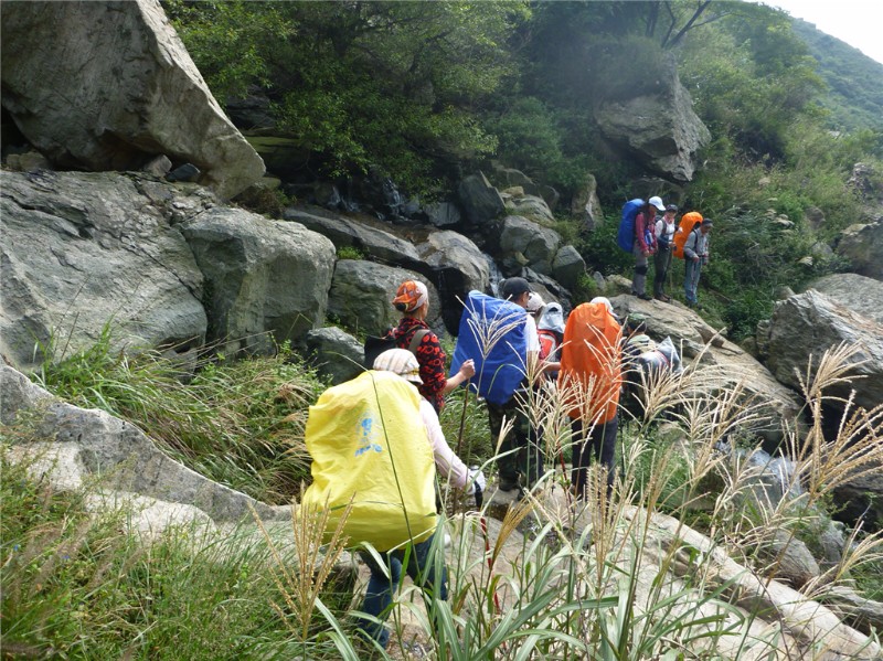p1020378_.jpg