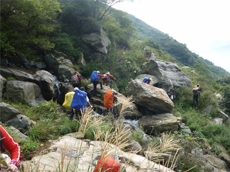 p1020382_.jpg