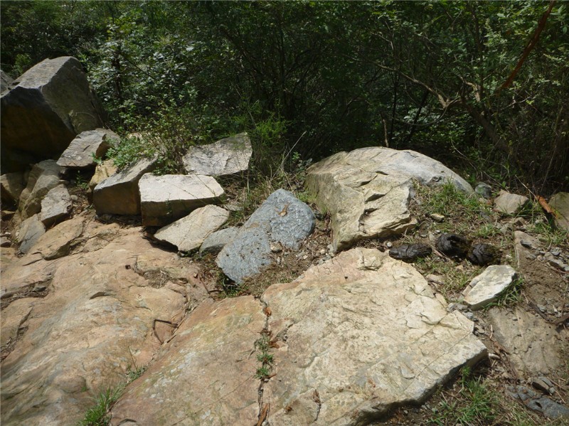 p1020386_.jpg
