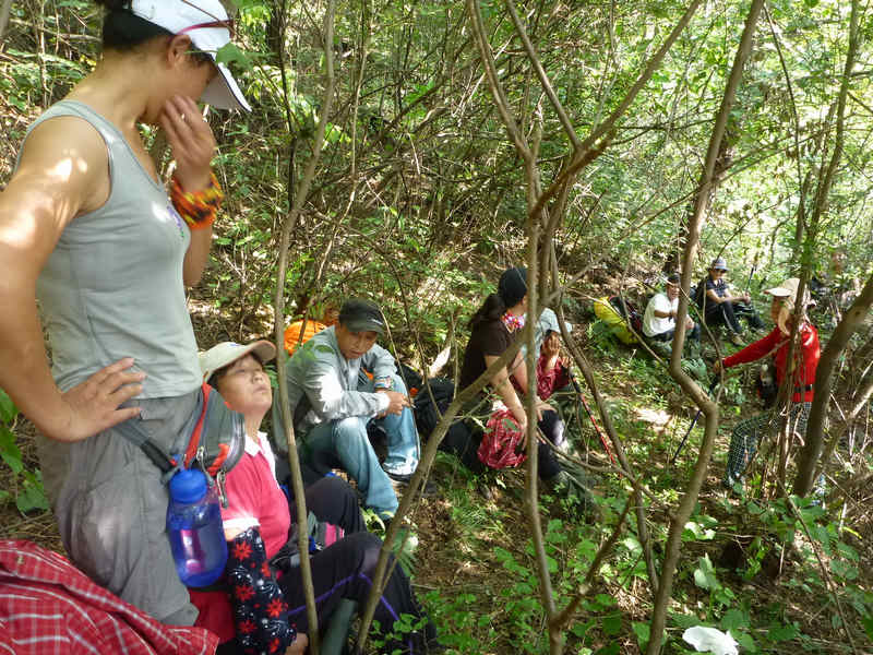 p1020335.jpg