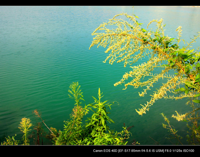 img_7720.jpg