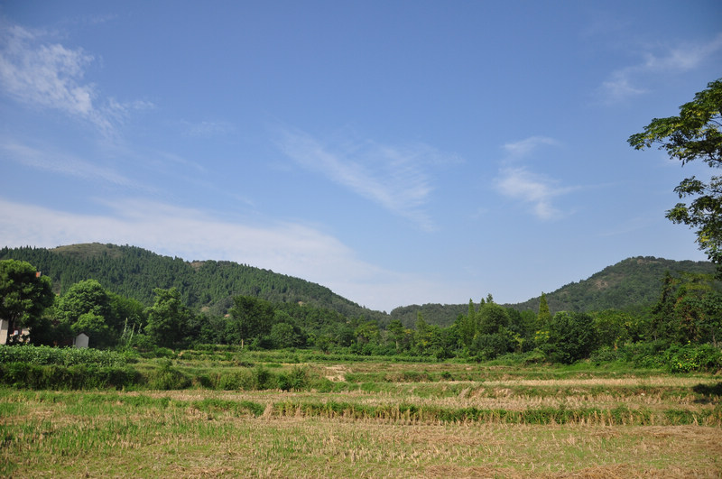 dsc_0333.jpg