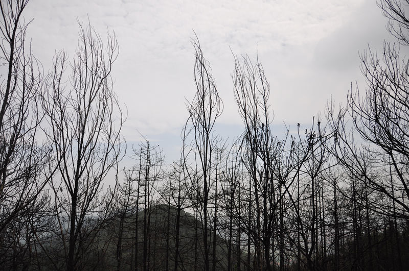 dsc_0162.jpg