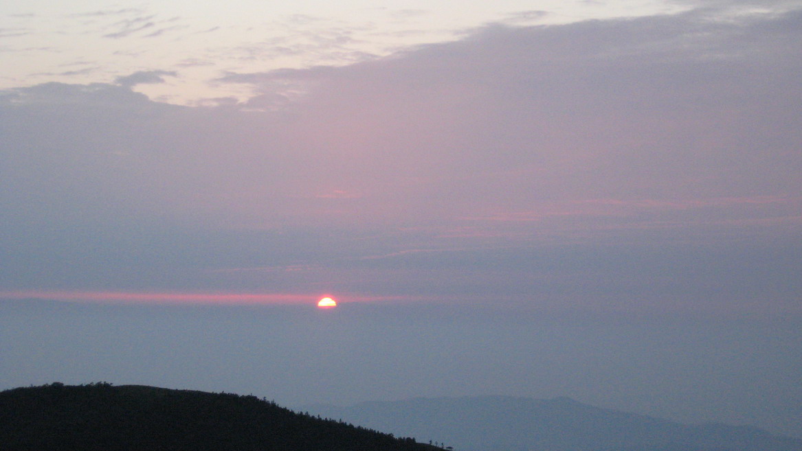 img_8149_СС.jpg