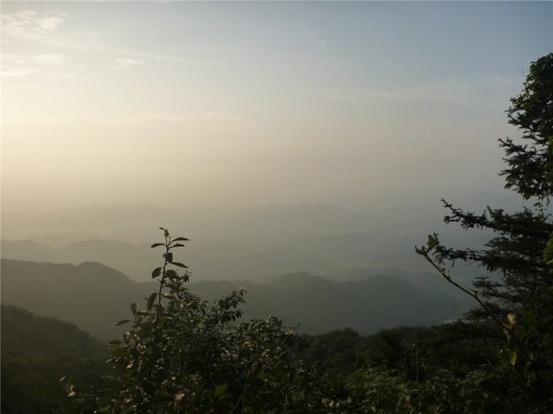p1020339_.jpg