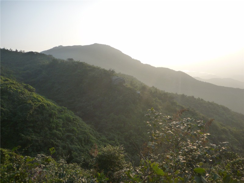 p1020340_.jpg