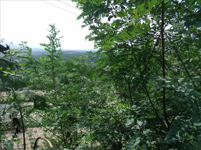 կ 008.jpg