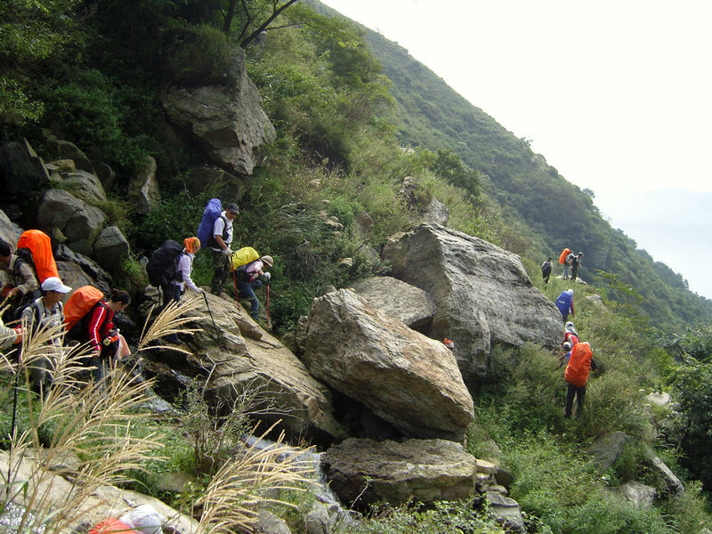  snc10196.jpg