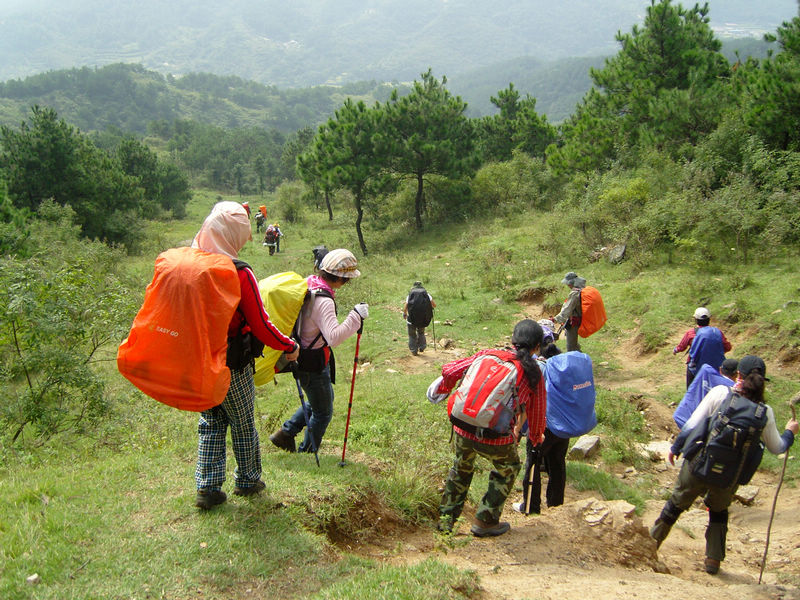  snc10237.jpg