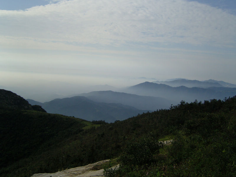  snc10107.jpg