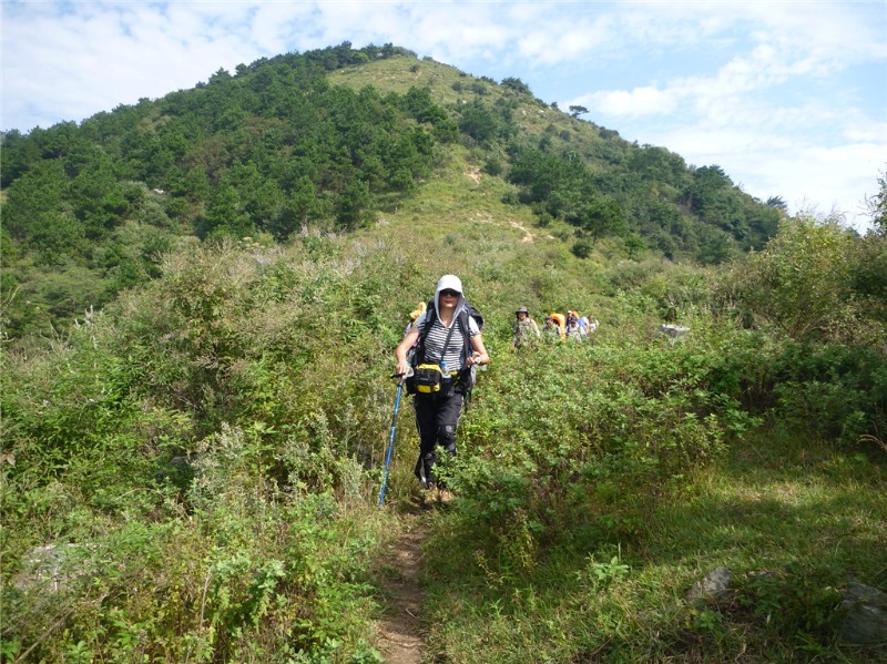 p1020384_.jpg