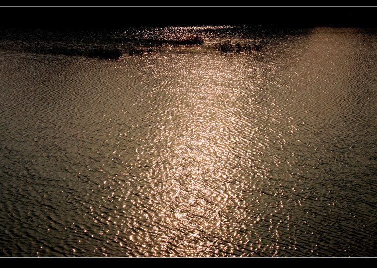 img_7810.jpg