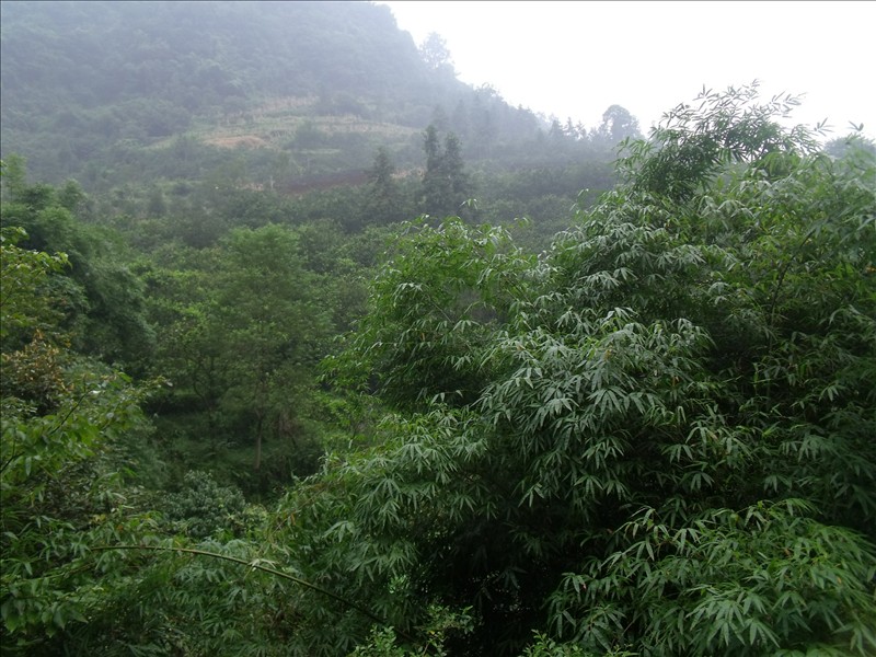 Ϫ2010.08.31 322.jpg