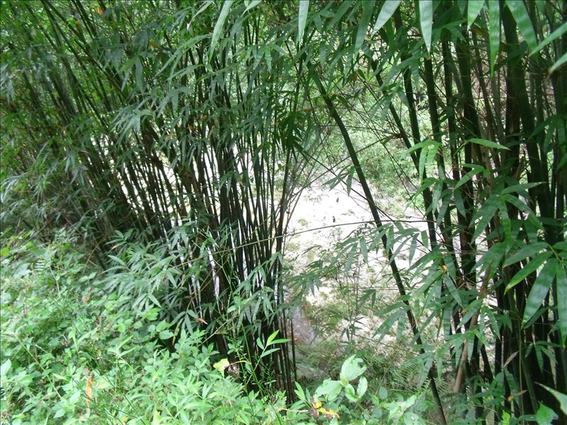 Ϫ2010.08.31 324.jpg