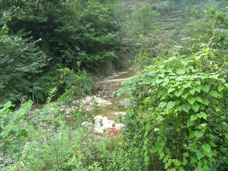 Ϫ2010.08.31 329.jpg