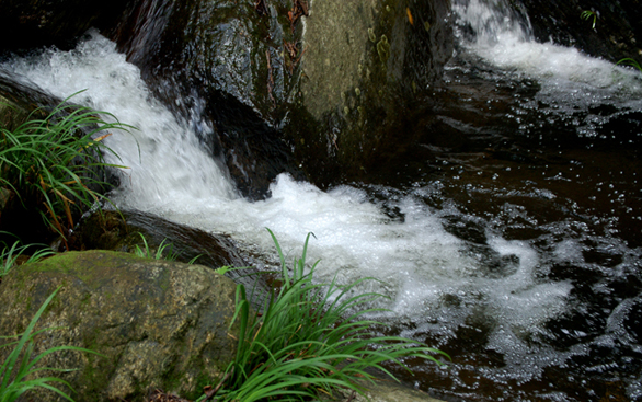 2010.9.11-﹵ (75).jpg