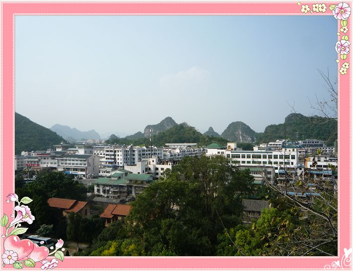 p1050687-1.jpg