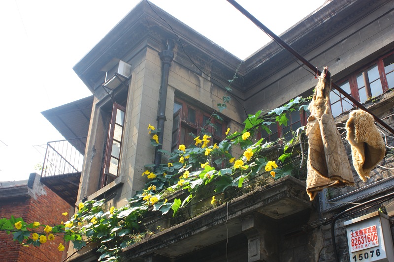 105.jpg