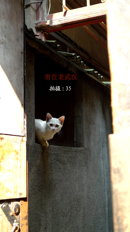 p1030762.gif