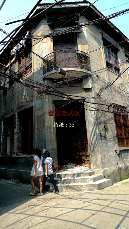 p1030773.gif