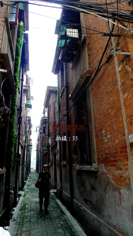 p1030777.gif