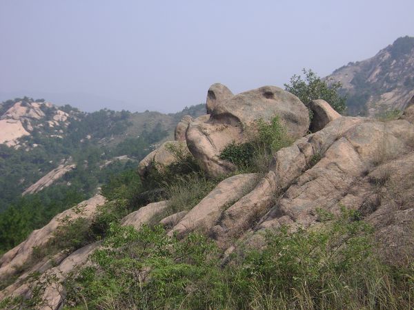 dsc07629-1.jpg