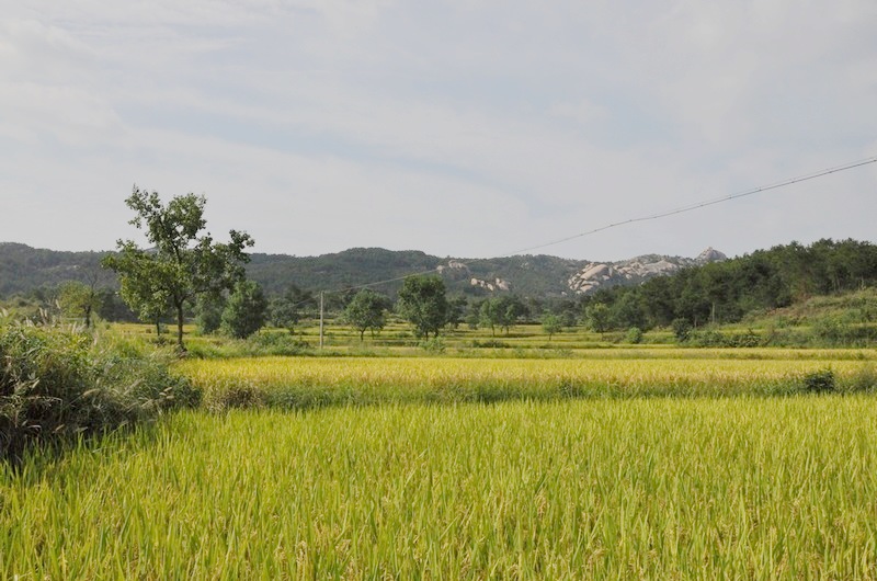 dsc_1163.jpg