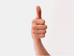 20081140332.gif