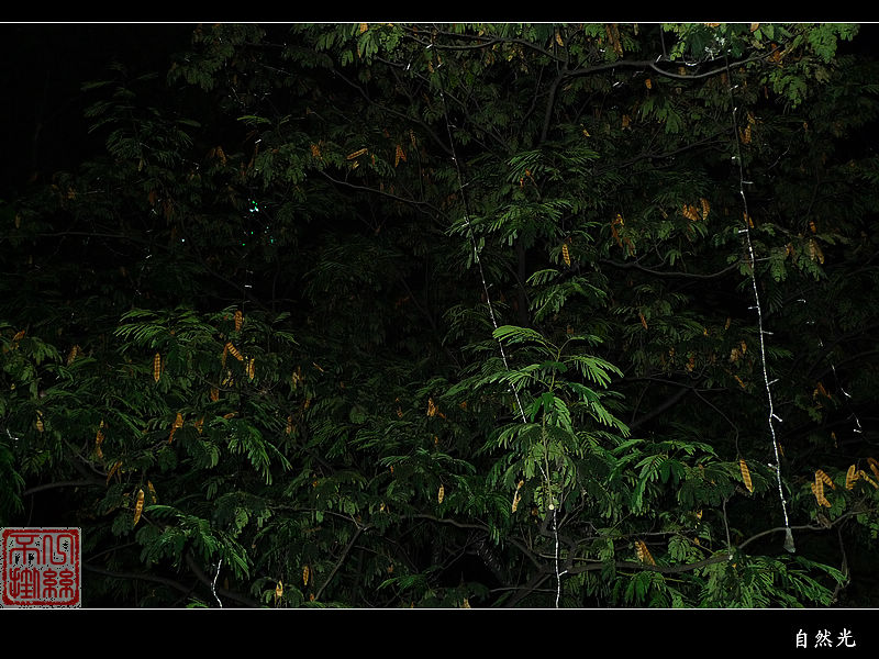 l1150097.jpg