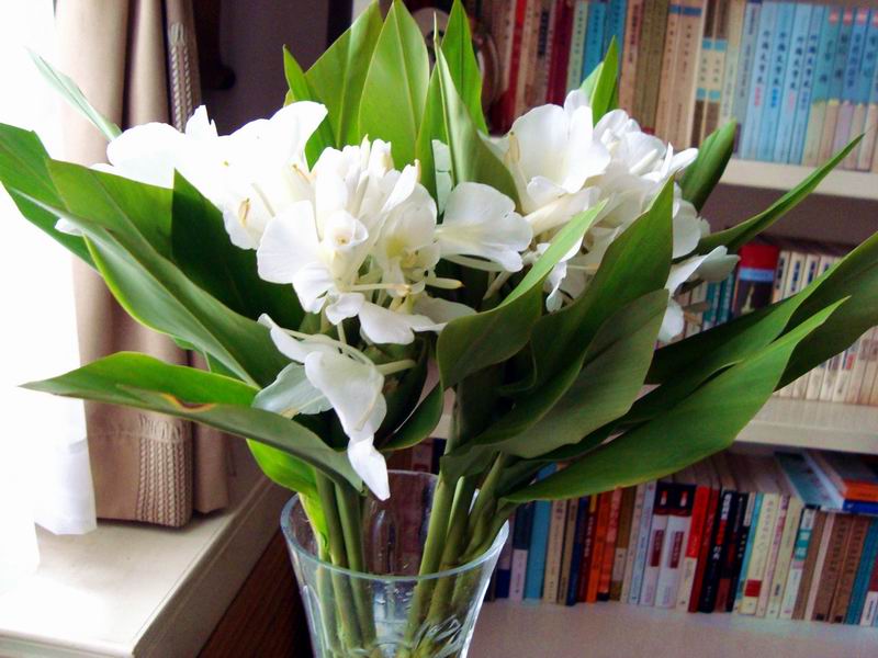 2010931716012187.jpg