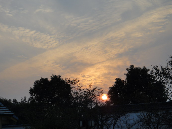 dsc03119.jpg