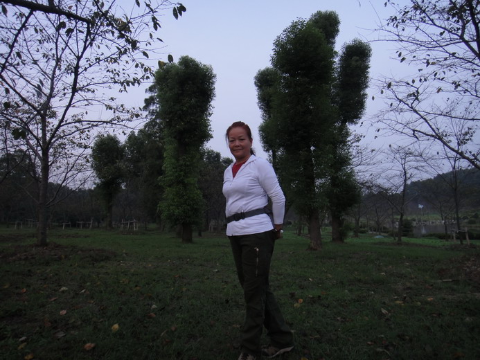 dsc03138.jpg