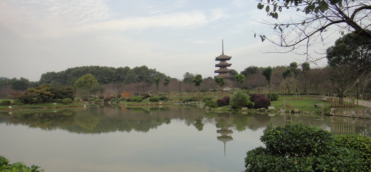 dsc03108.jpg