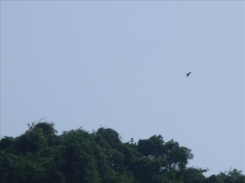 Ϫ2010.08.31 046.jpg