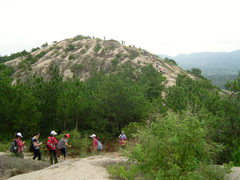  snc10021.jpg