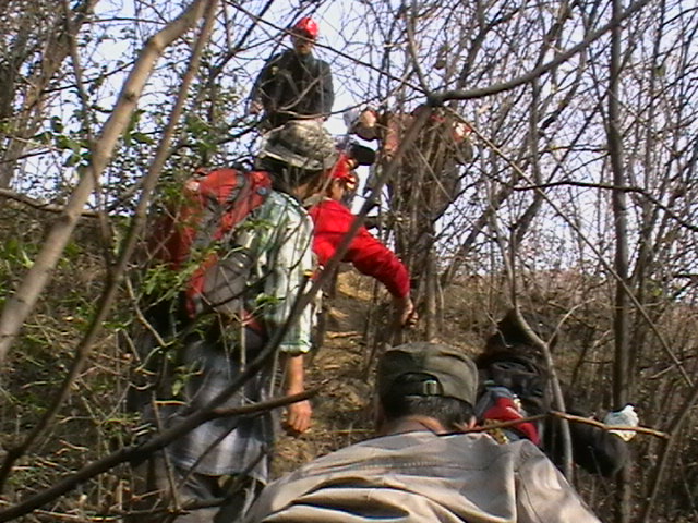 w4.jpg