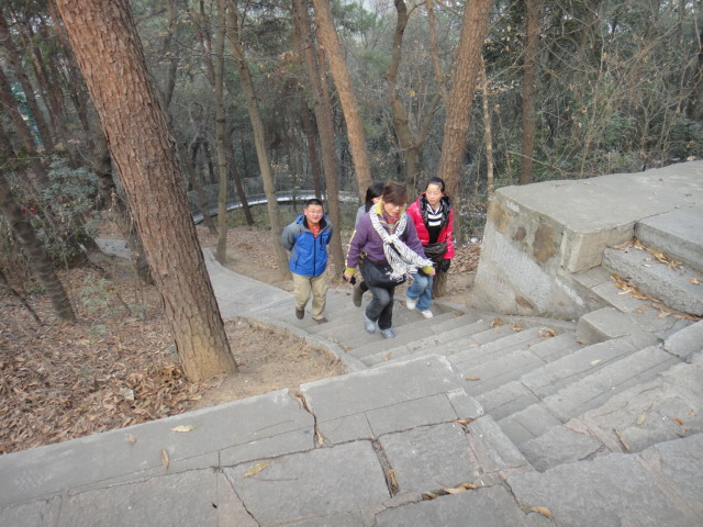 dsc00469.jpg