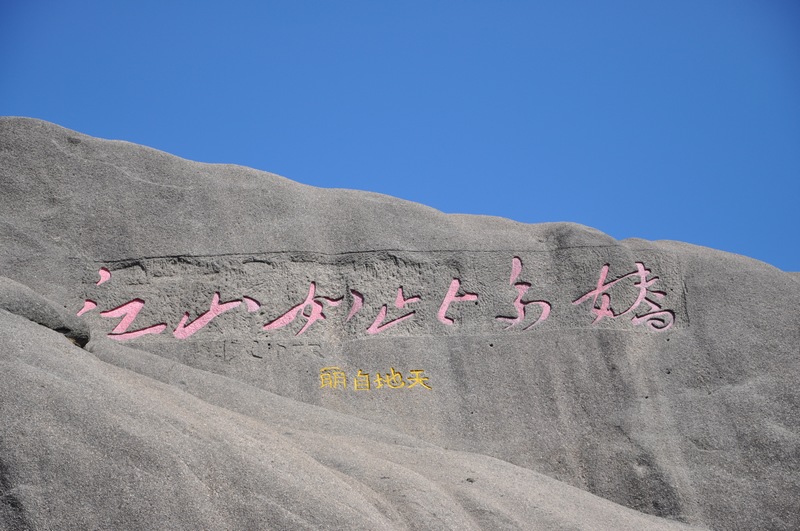 dsc_0337.jpg