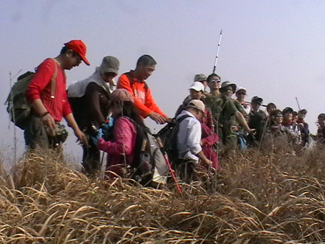 w15.jpg