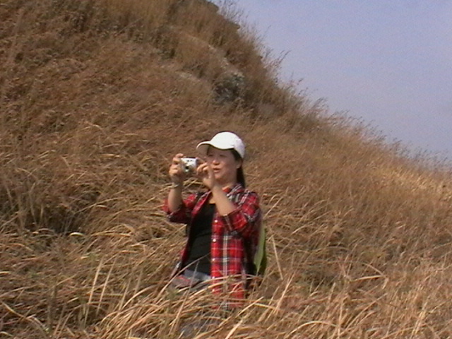 w16.jpg