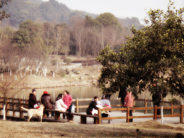 dsc04104.jpg