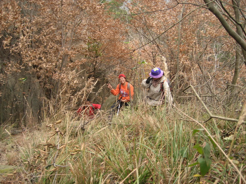 img_8469.jpg