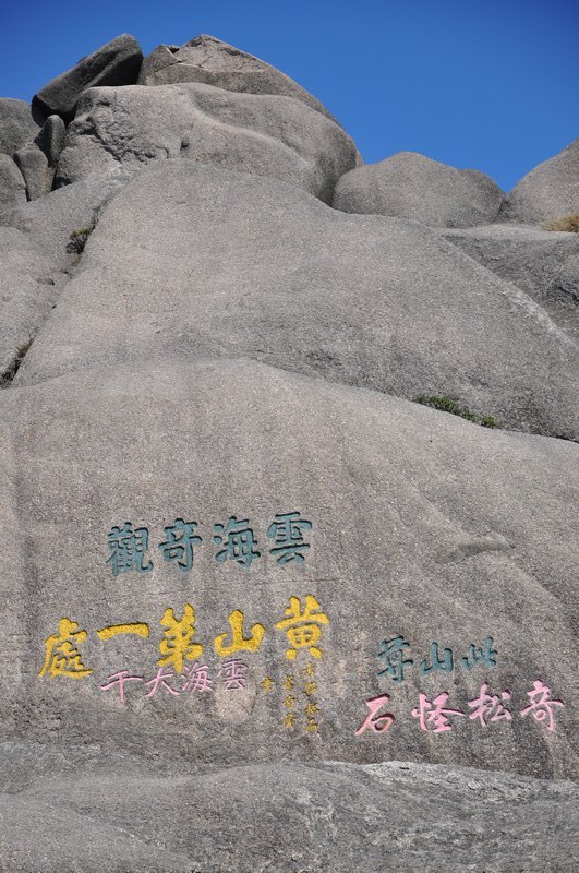 dsc_0338.jpg